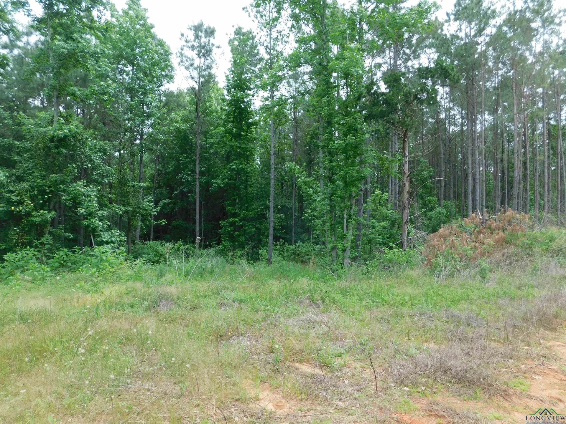 0.71 acres in Texas County gallery image 2