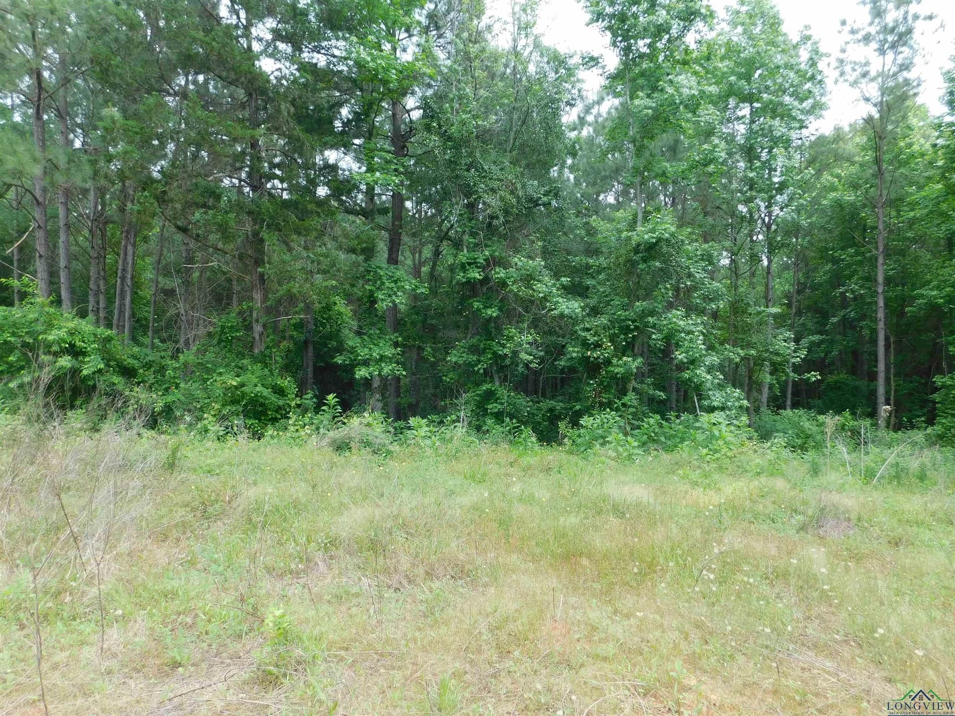0.71 acres in Texas County