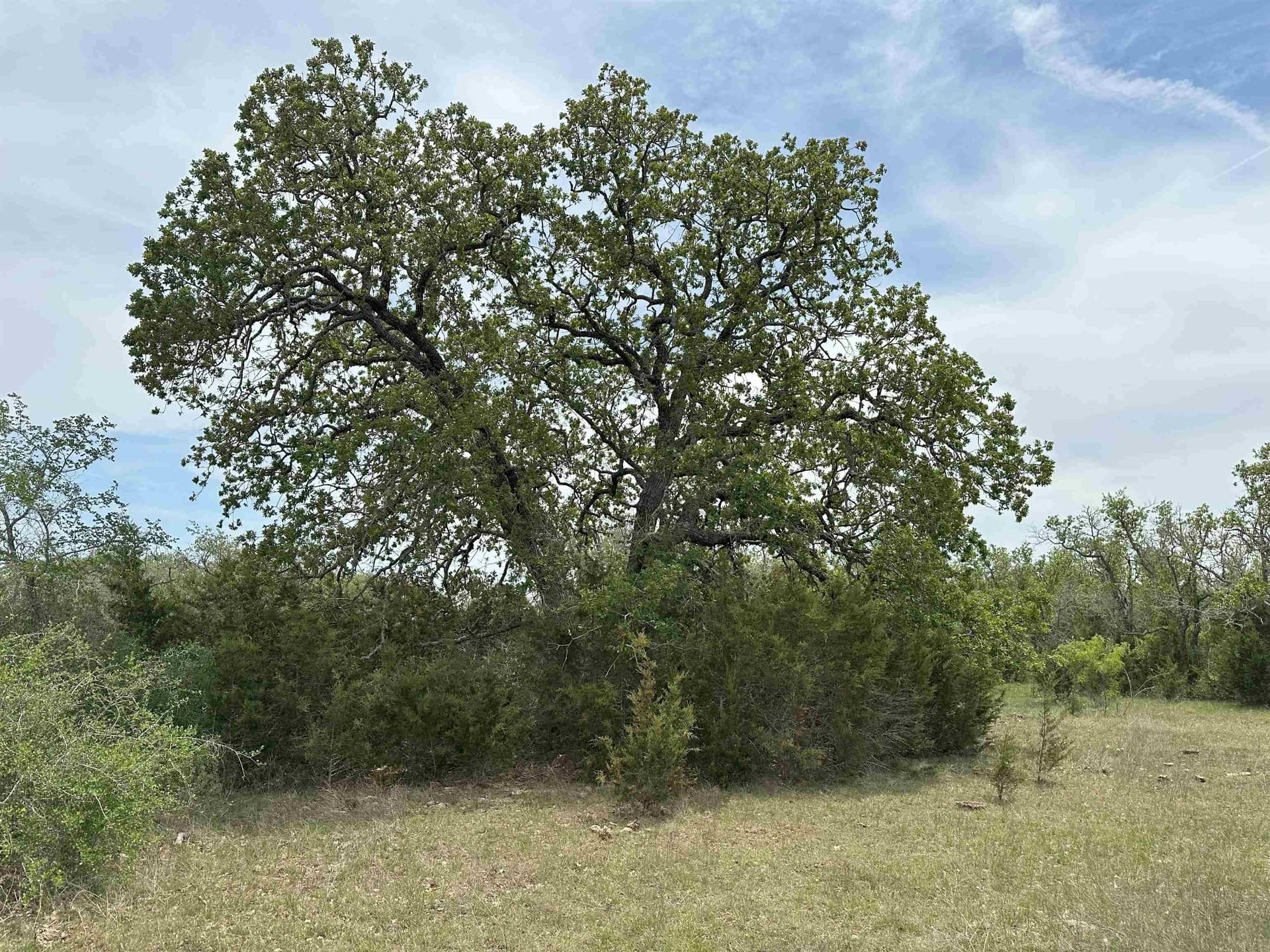 94 acres in Burnet County - photo 13