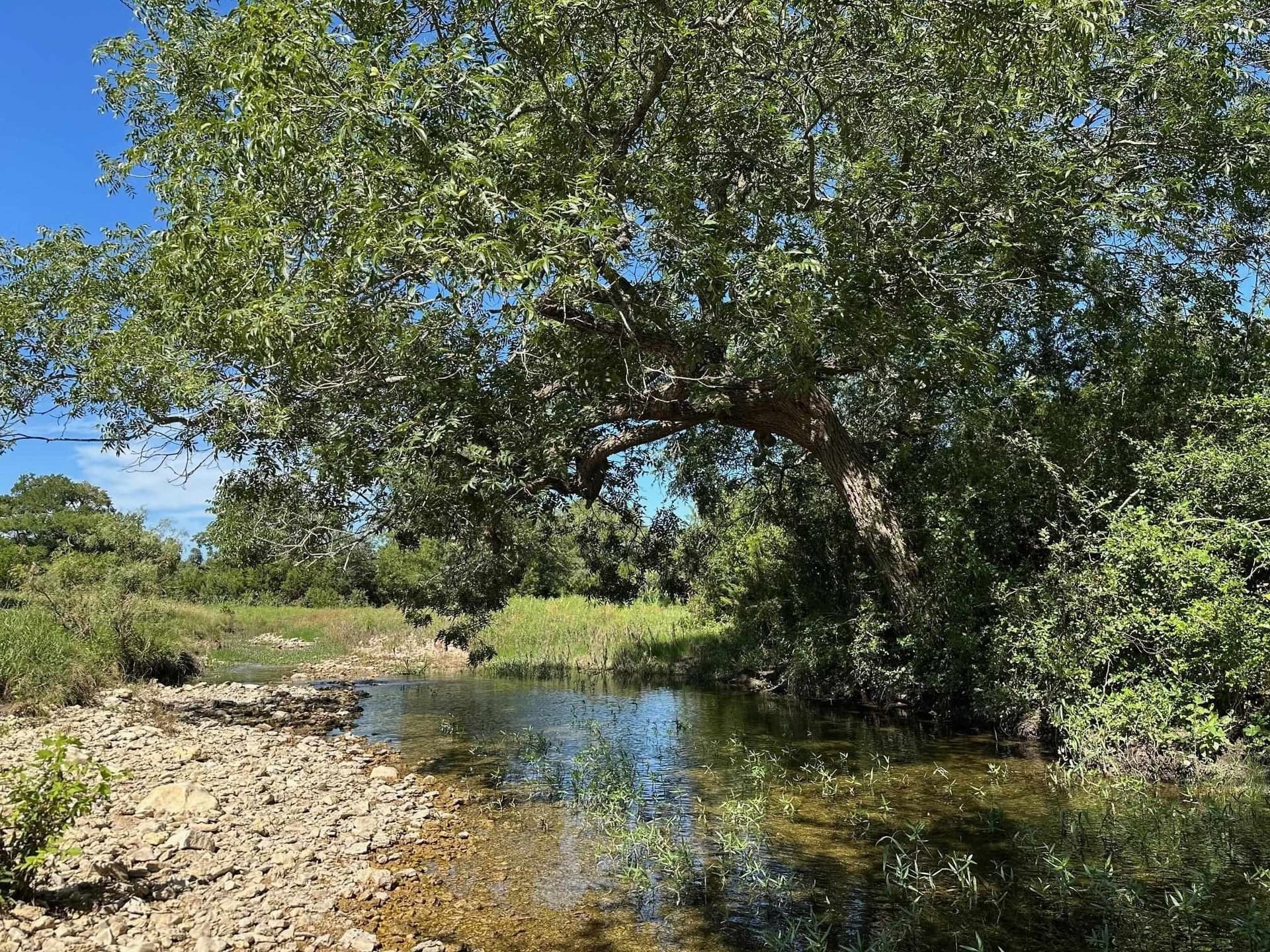 94 acres in Burnet County - photo 3