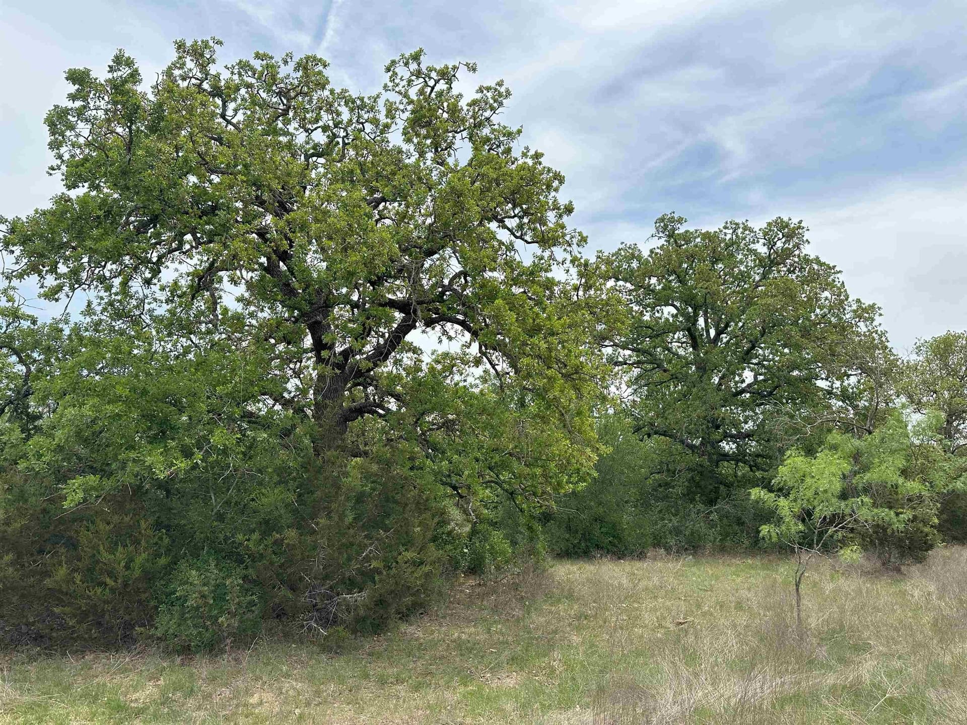94 acres in Burnet County - photo 10