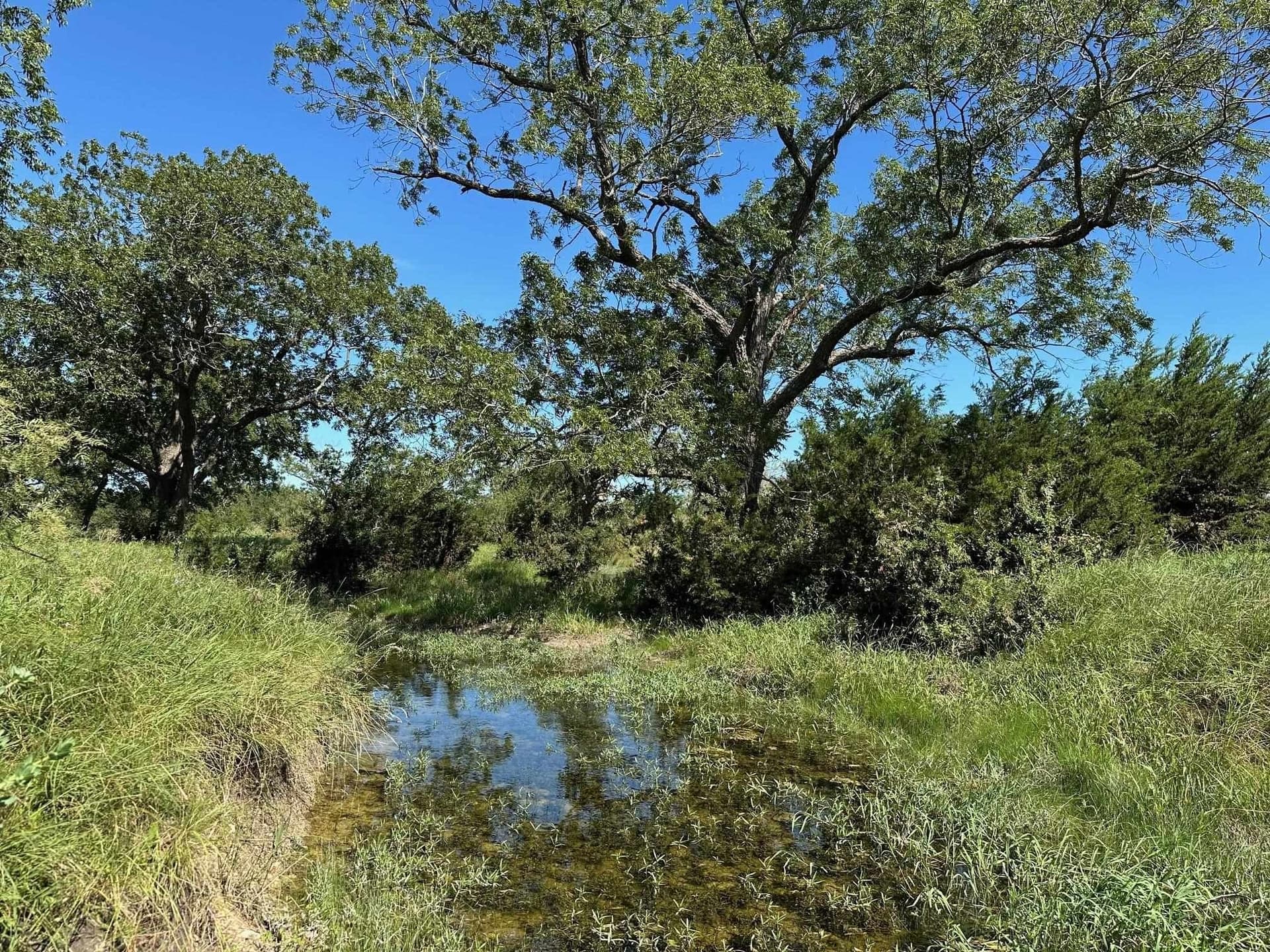 94 acres in Burnet County - photo 5