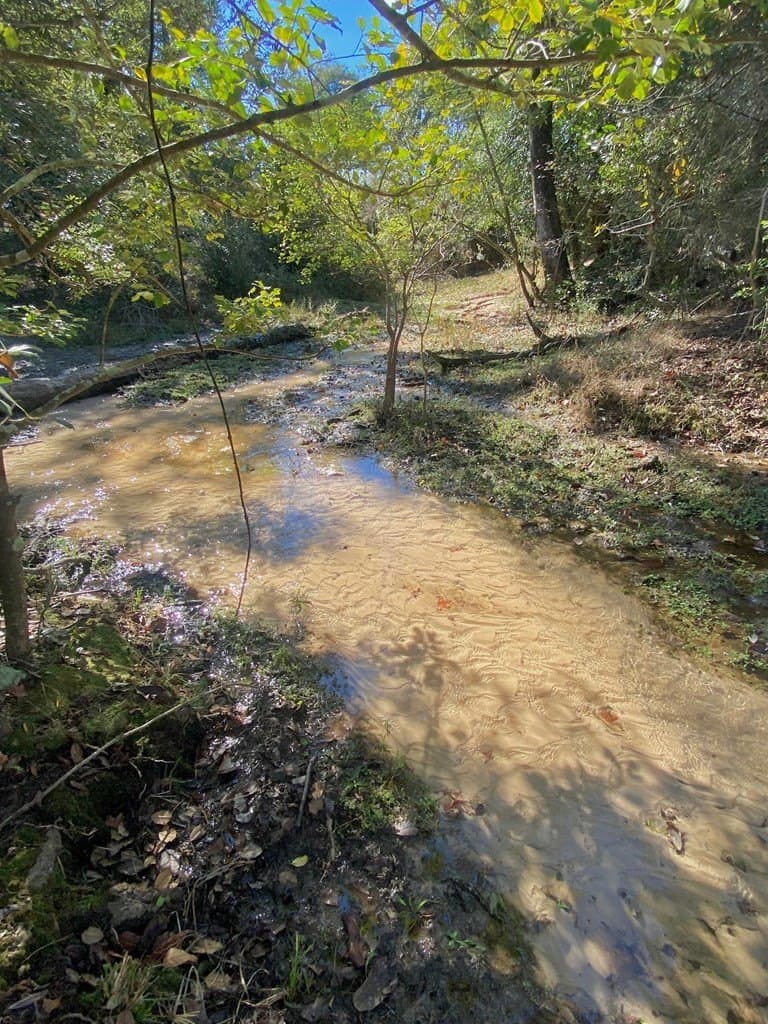 153.75 acres in Texas County - photo 7