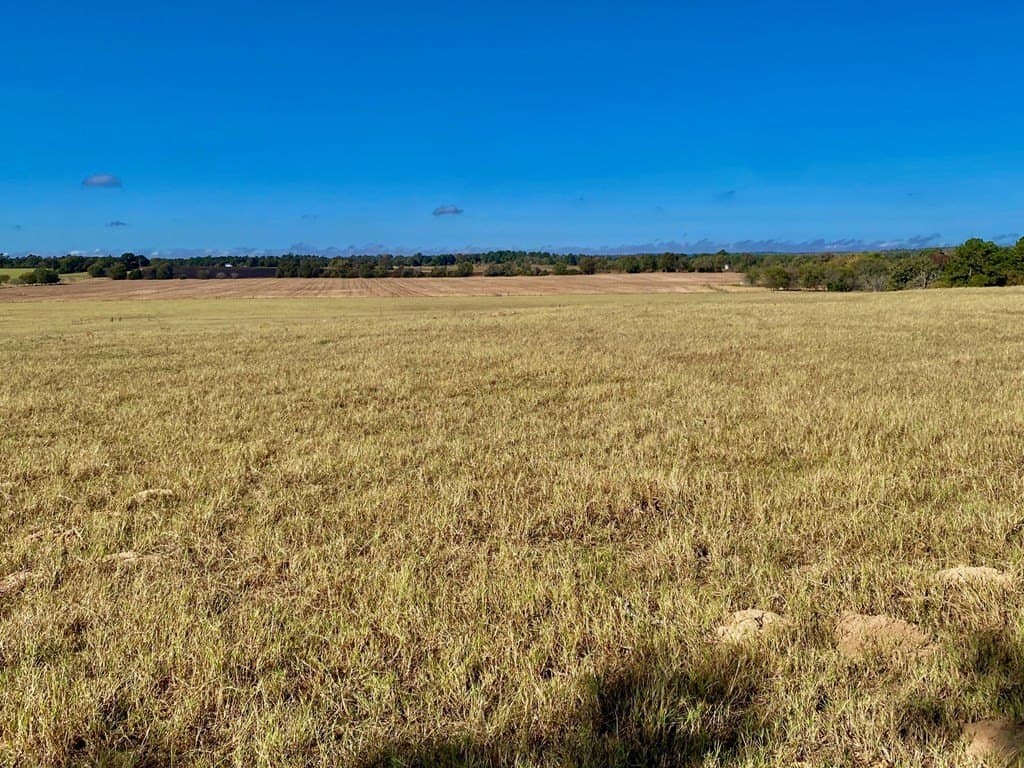 153.75 acres in Texas County - photo 28