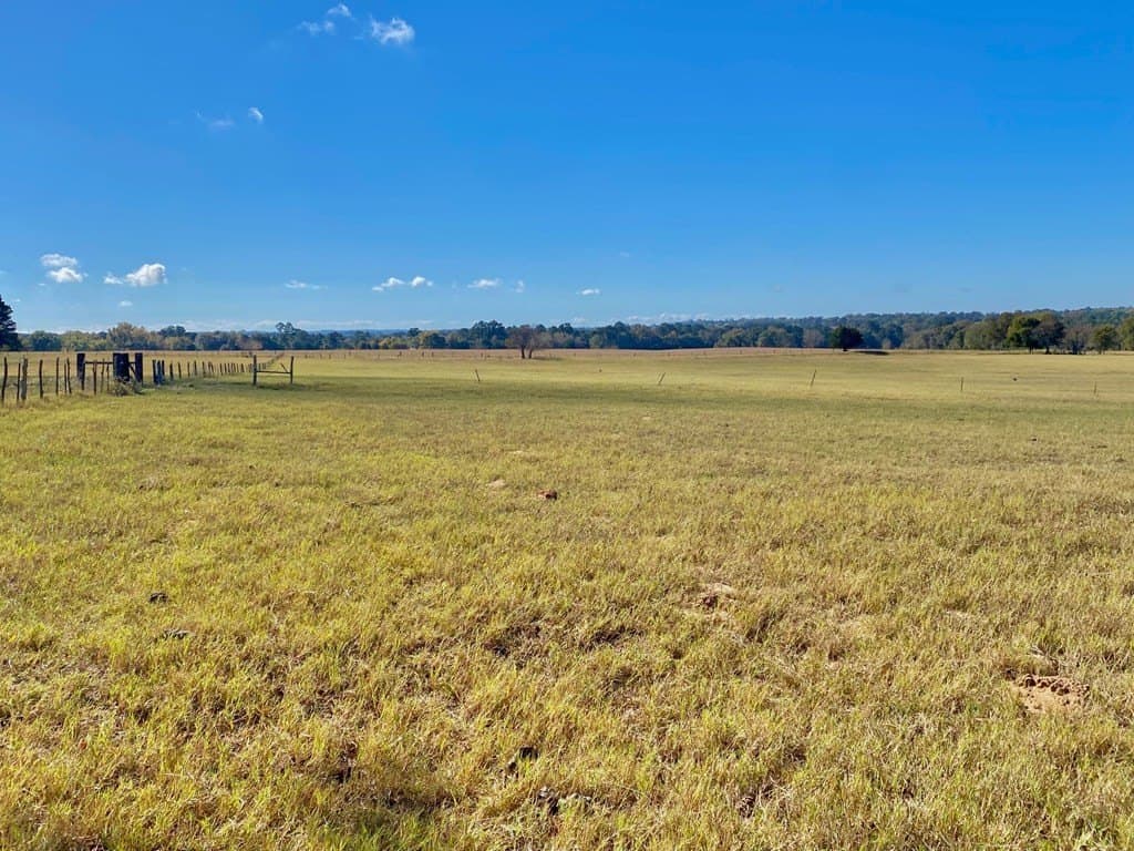153.75 acres in Texas County - photo 29