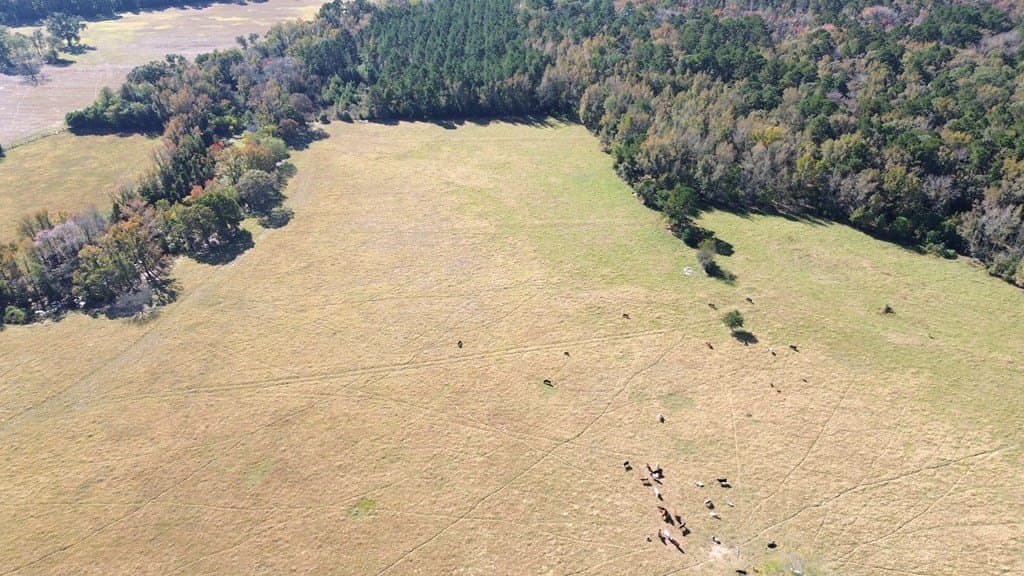 153.75 acres in Texas County - photo 14