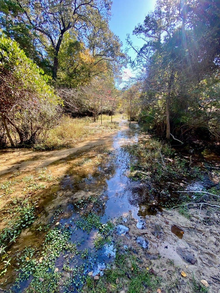 153.75 acres in Texas County - photo 10