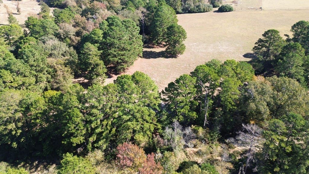 153.75 acres in Texas County - photo 6