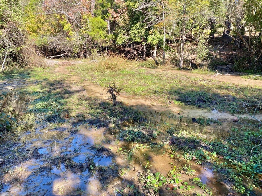 153.75 acres in Texas County - photo 9