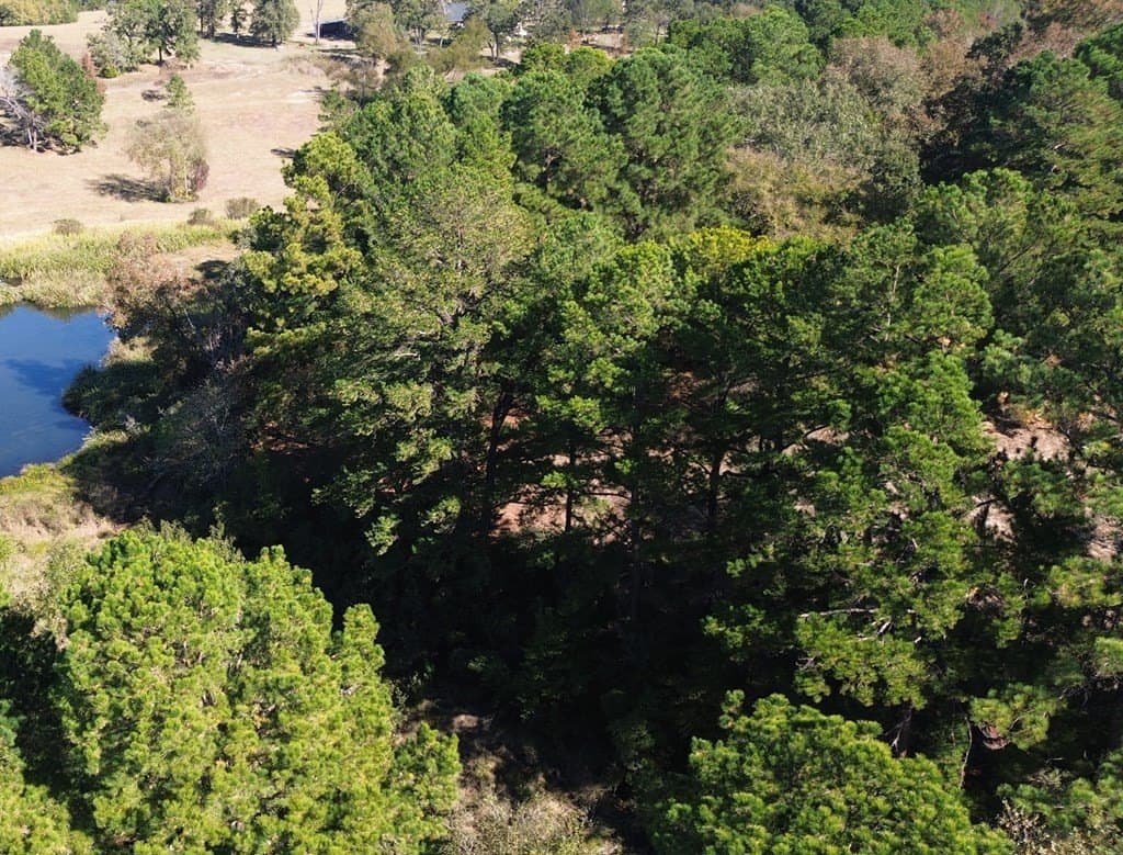 153.75 acres in Texas County - photo 19
