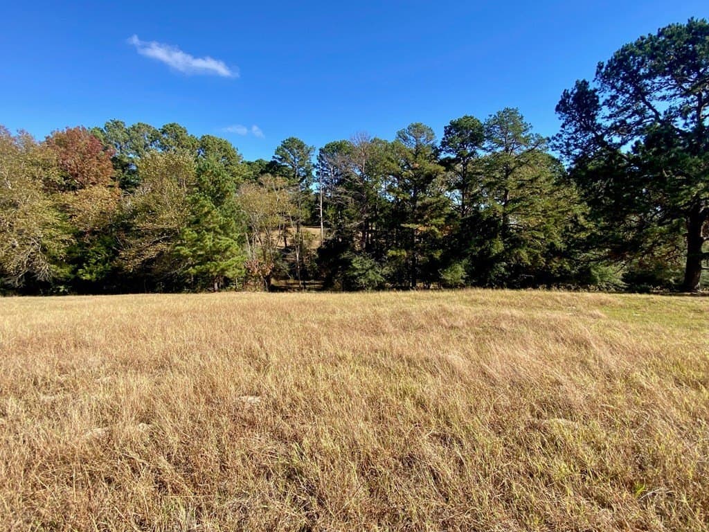 153.75 acres in Texas County - photo 31