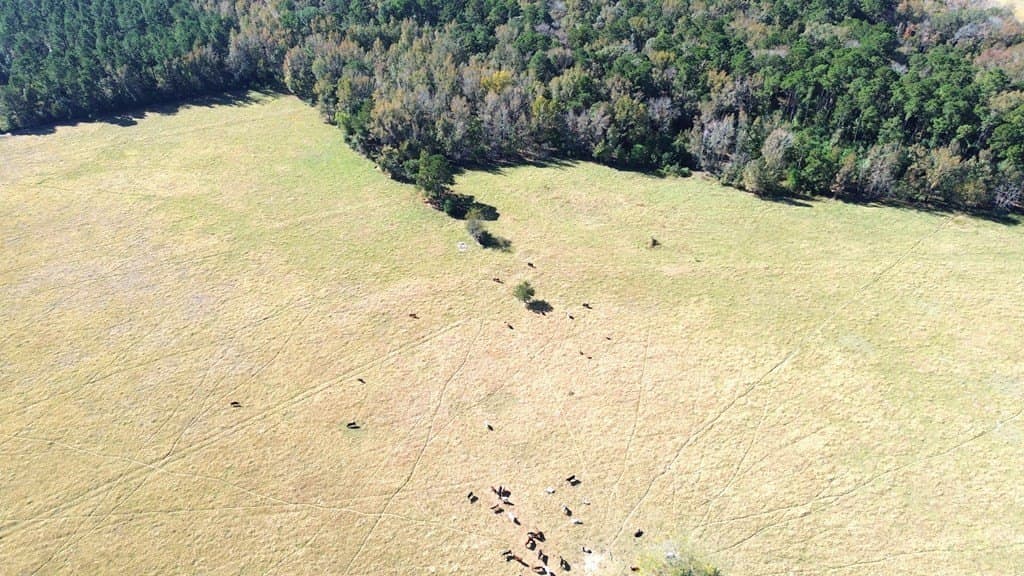 153.75 acres in Texas County - photo 15