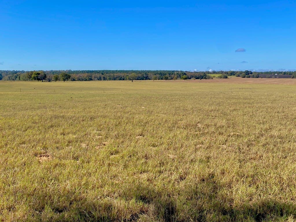 153.75 acres in Texas County - photo 27