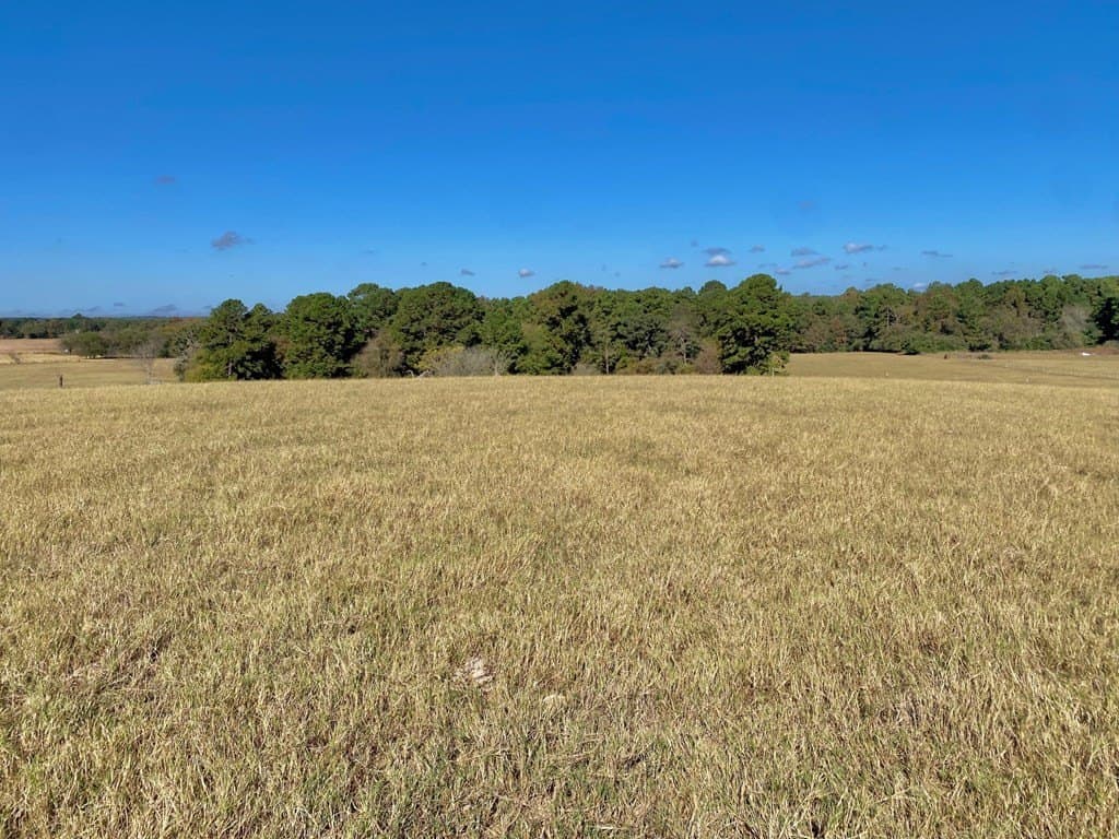 153.75 acres in Texas County - photo 30