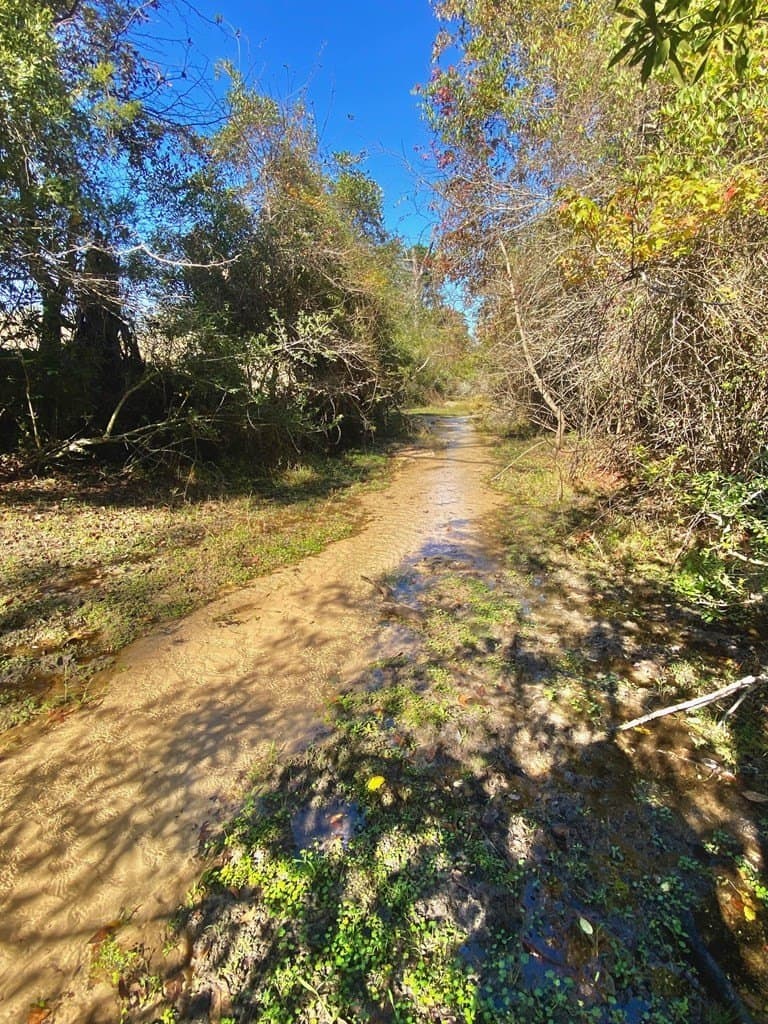 153.75 acres in Texas County - photo 8