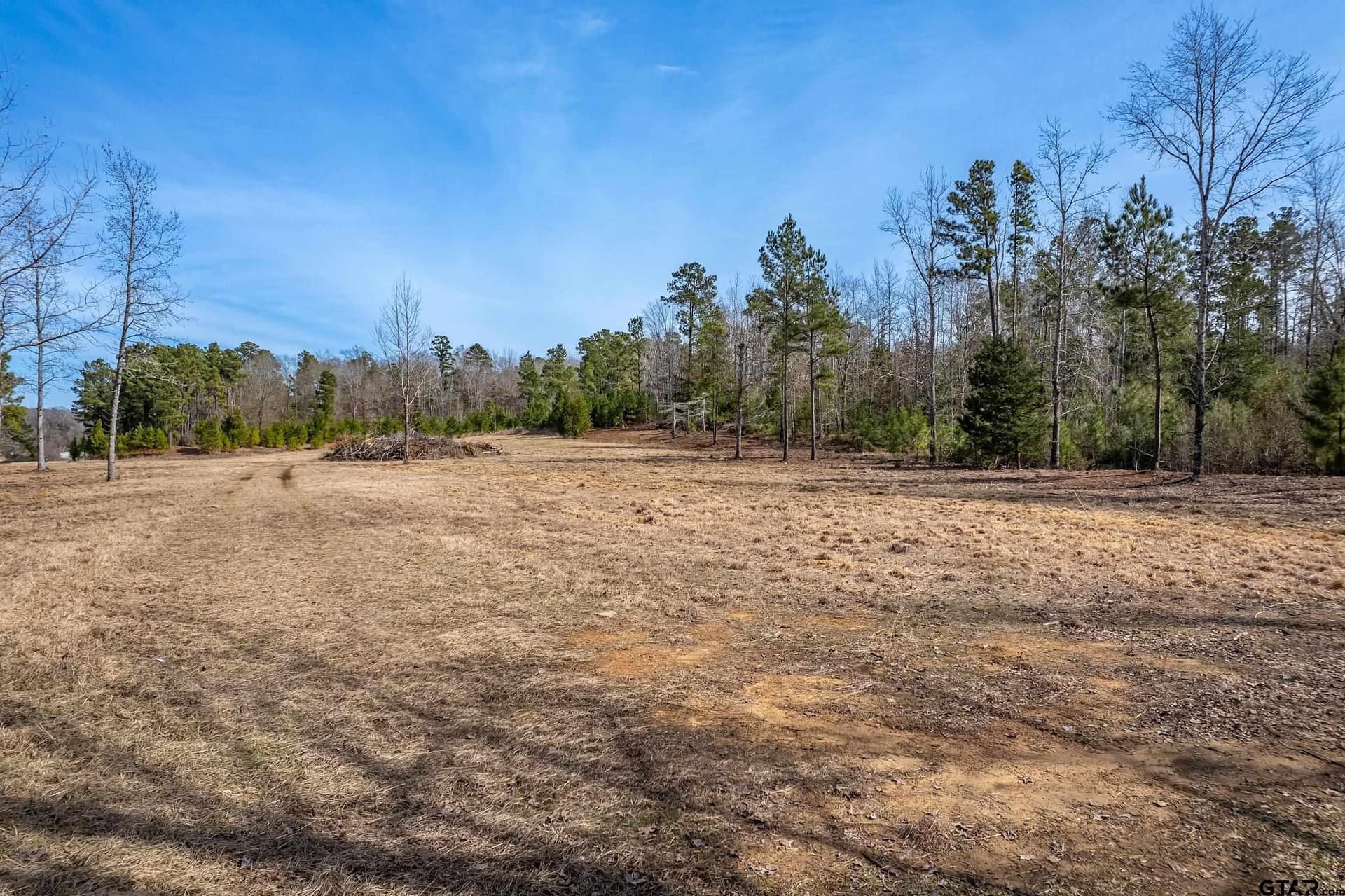27.67 acres in Anderson County - photo 8