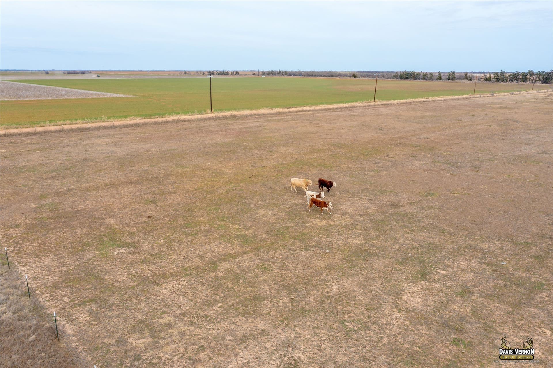 160 acres in Knox County - photo 20