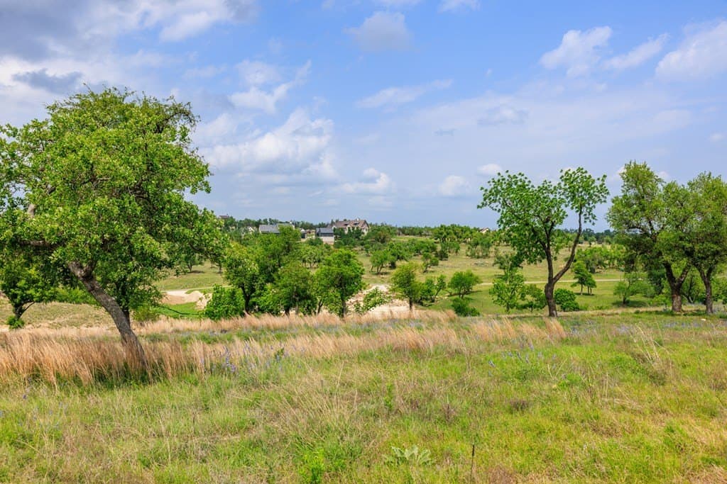 1.6 acres in Gillespie County - photo 13