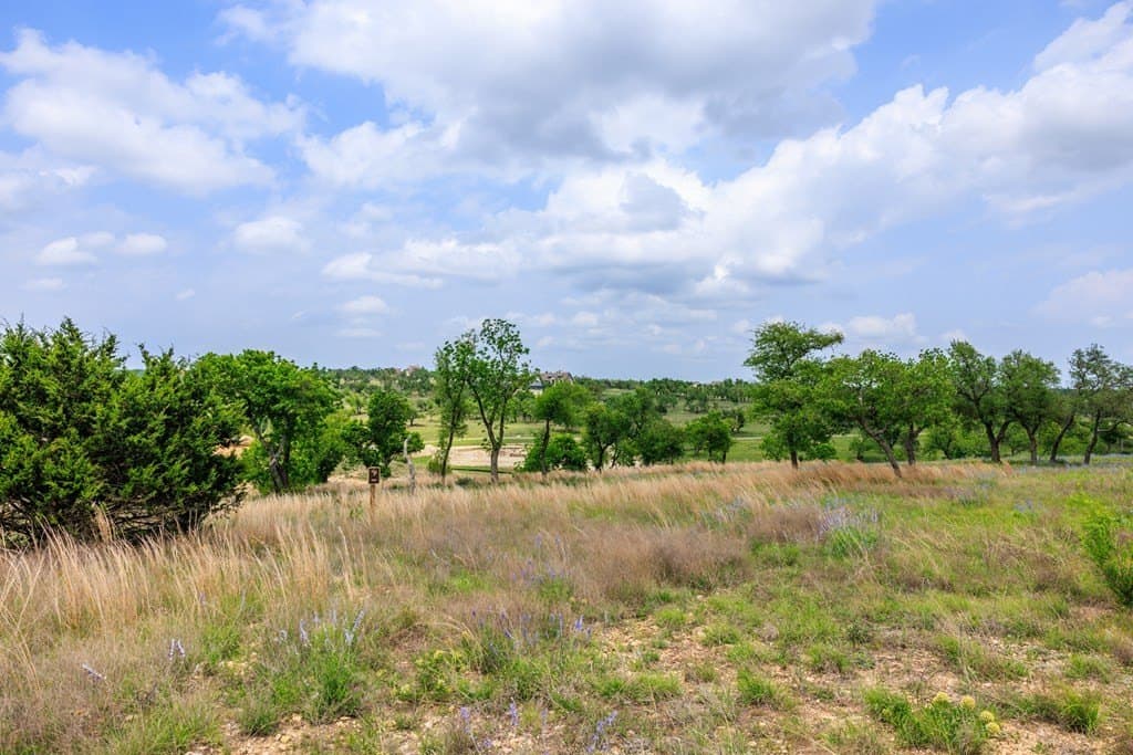1.6 acres in Gillespie County - photo 8