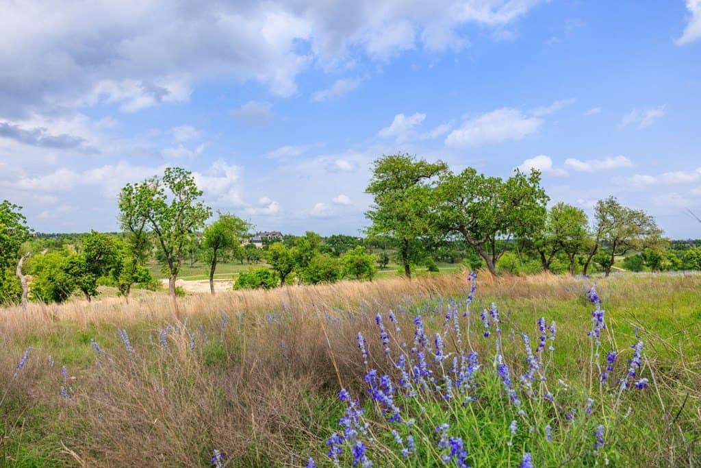 1.6 acres in Gillespie County - photo 6