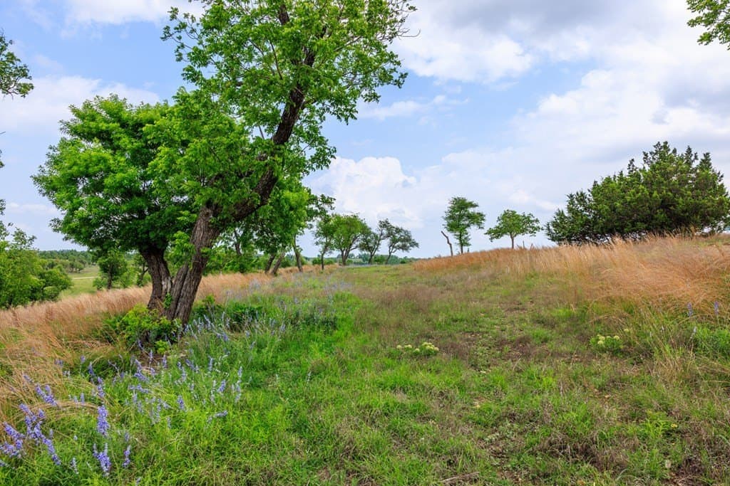 1.6 acres in Gillespie County - photo 10