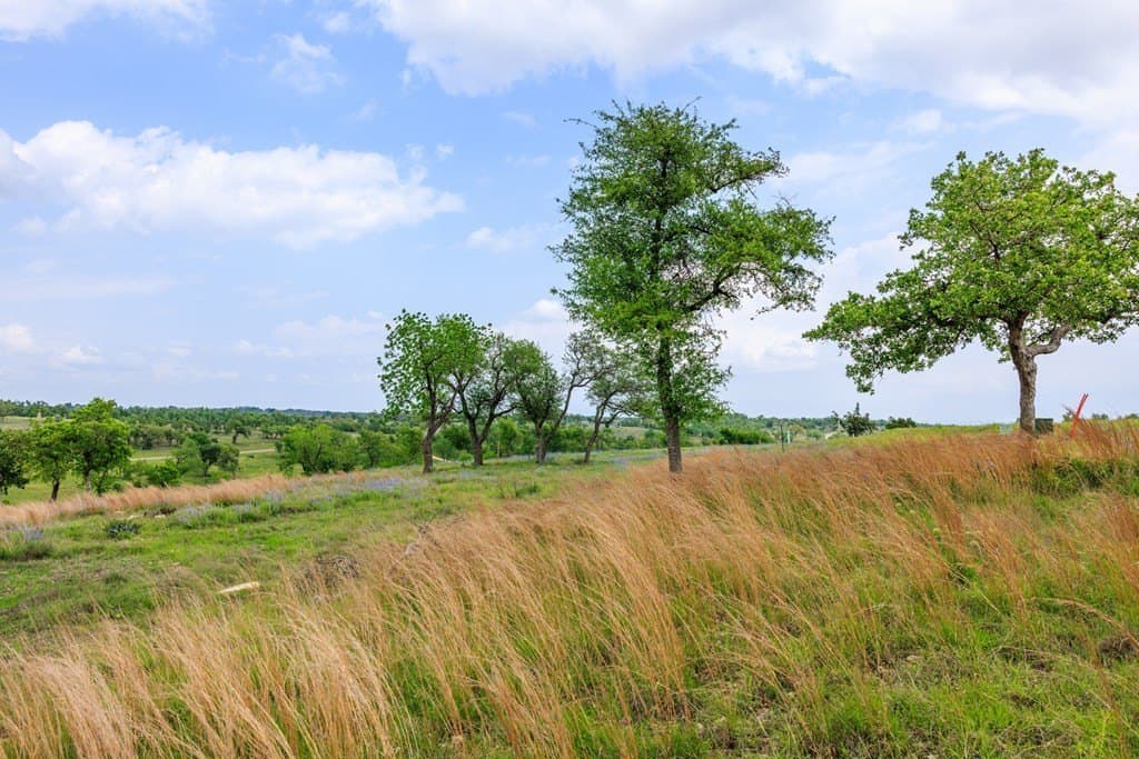 1.6 acres in Gillespie County - photo 9