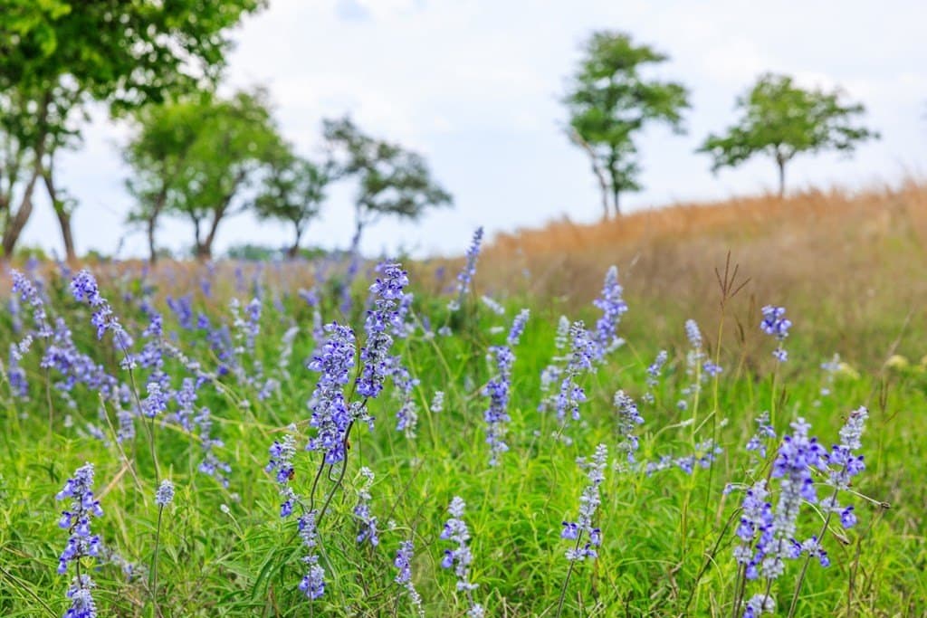 1.6 acres in Gillespie County - photo 11