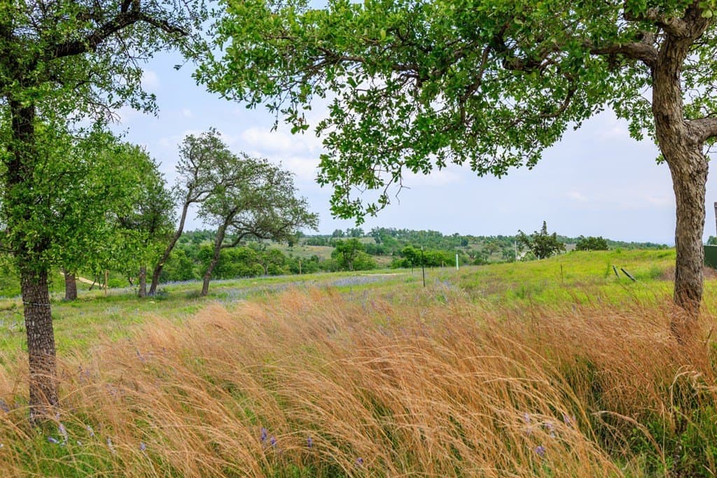 1.6 acres in Gillespie County - photo 14