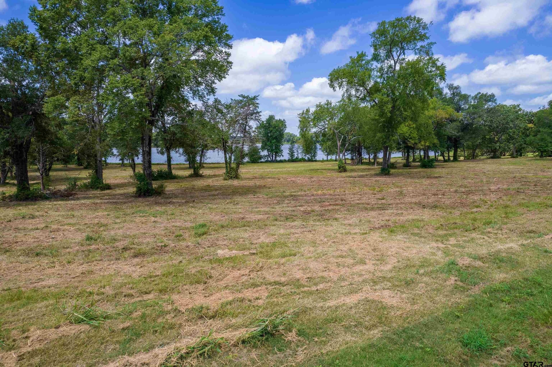 1.03 acres in Titus County gallery image 3