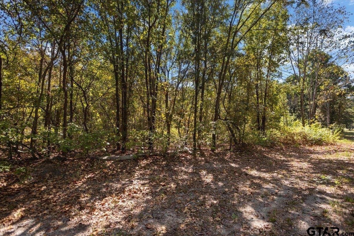 11.09 acres in Smith County - photo 39