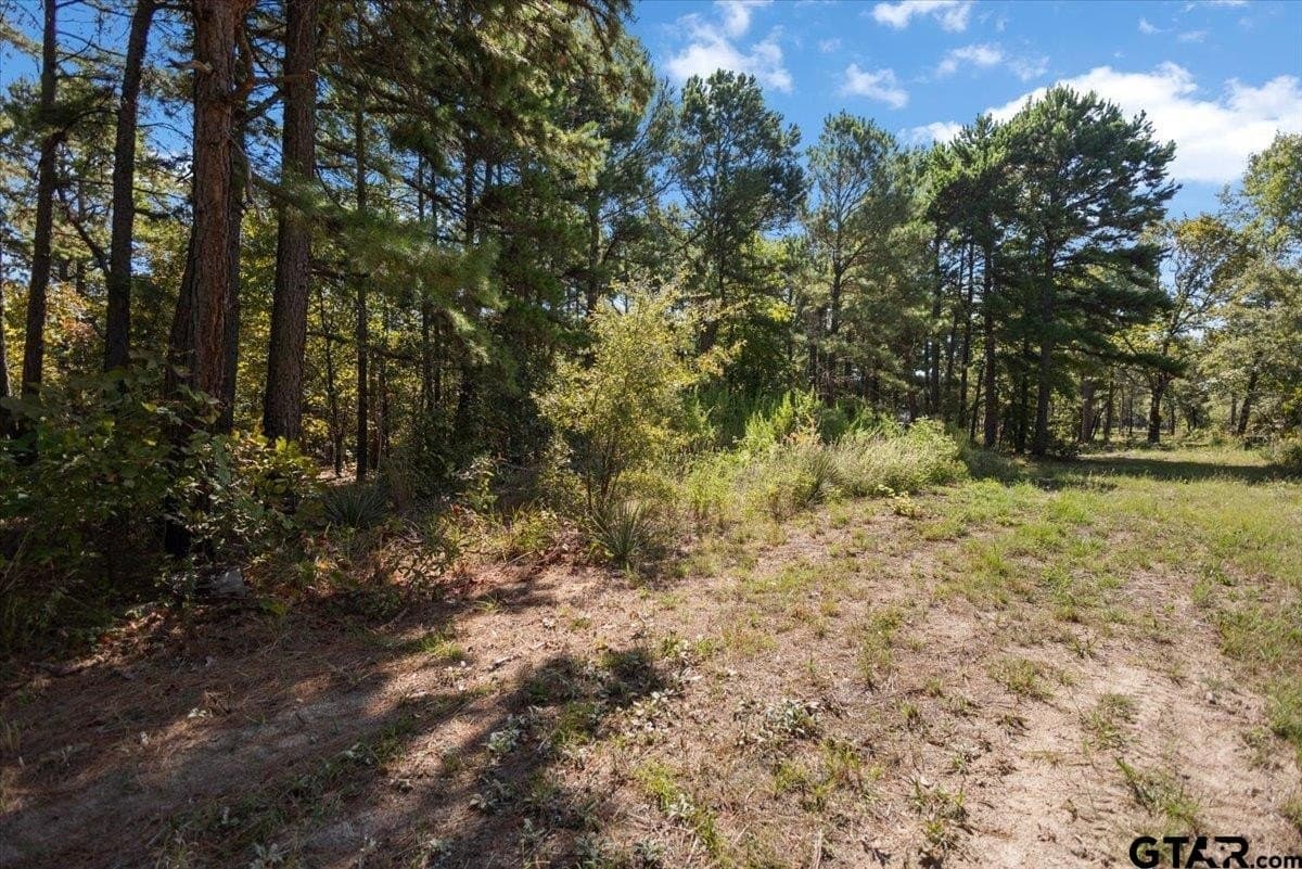 11.09 acres in Smith County - photo 41
