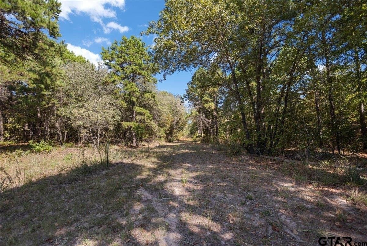 11.09 acres in Smith County - photo 42
