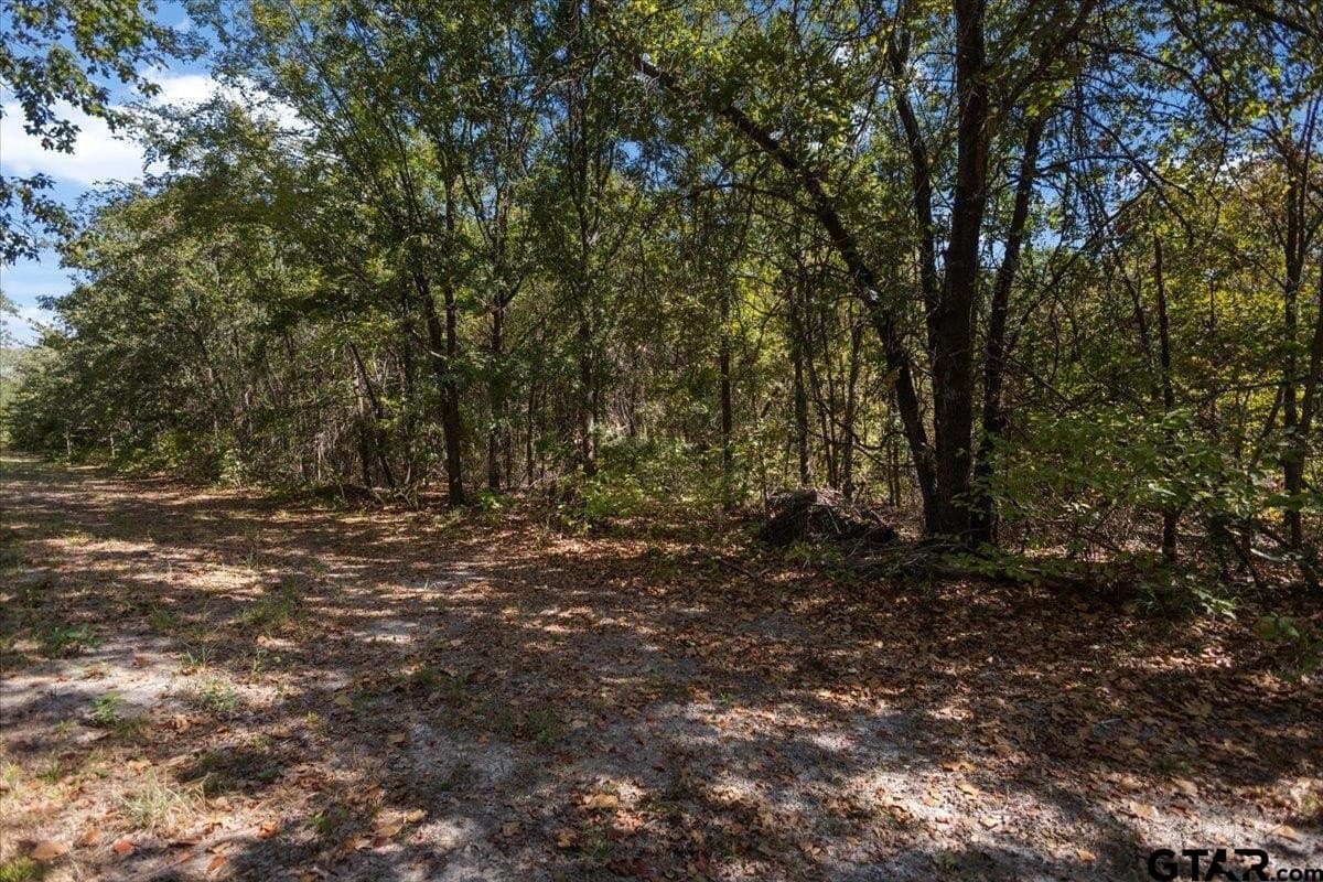11.09 acres in Smith County - photo 40
