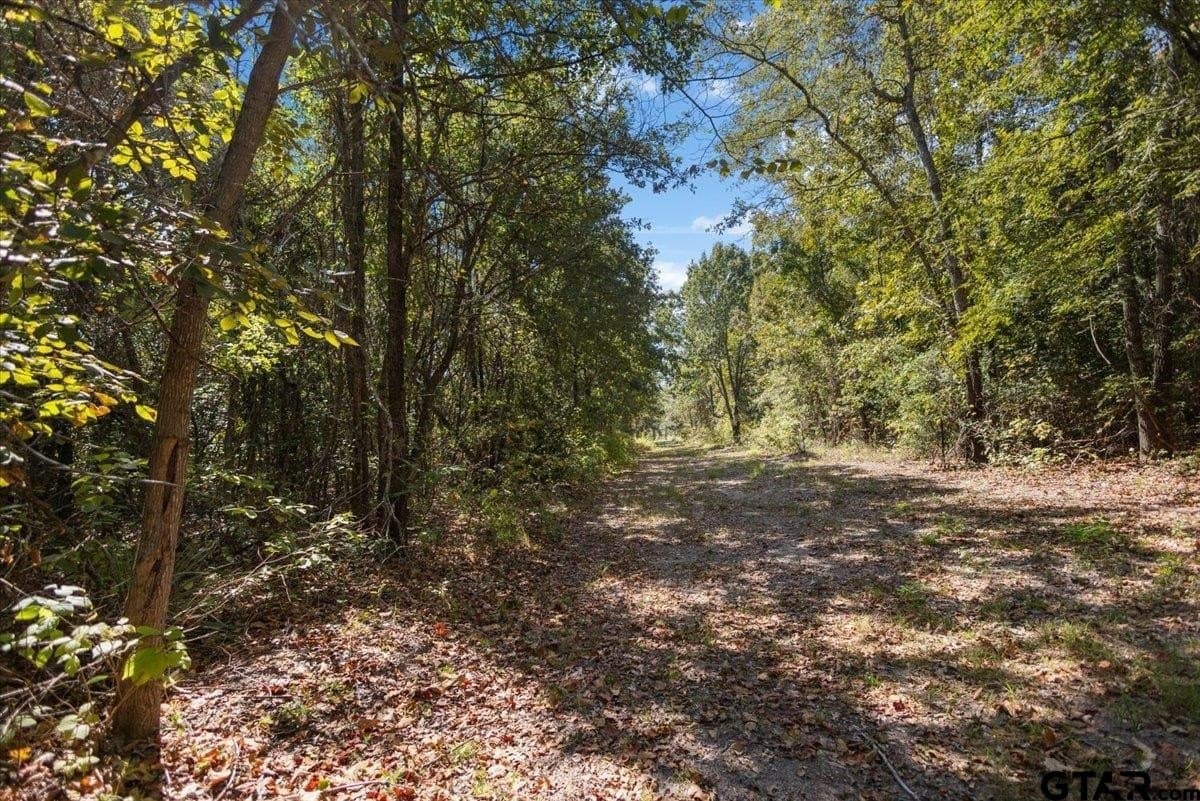 11.09 acres in Smith County - photo 38