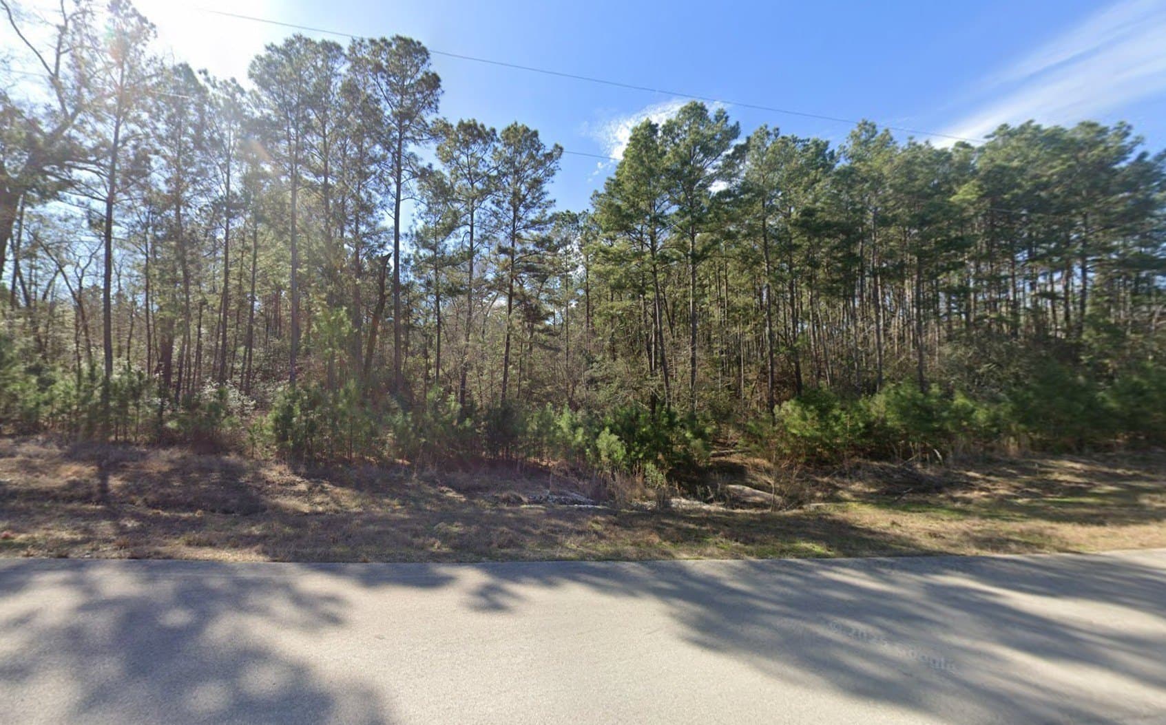2 acres in Walker County gallery image 2