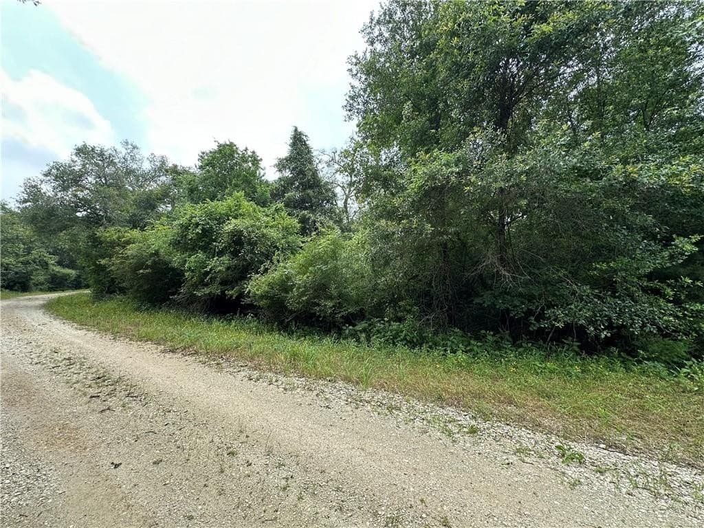 17.6 acres in Limestone County gallery image 3