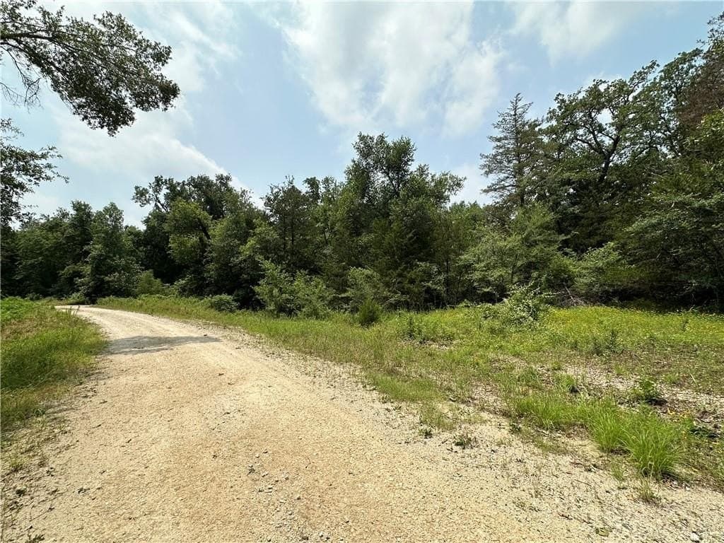 17.6 acres in Limestone County gallery image 2