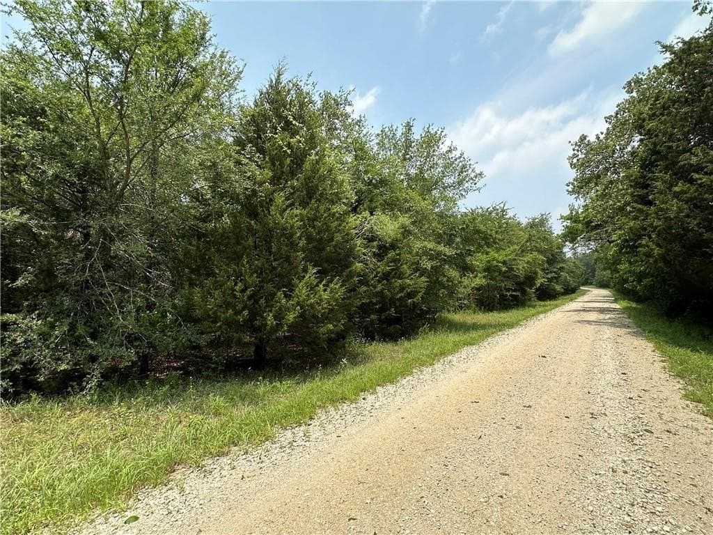 17.6 acres in Limestone County gallery image 4