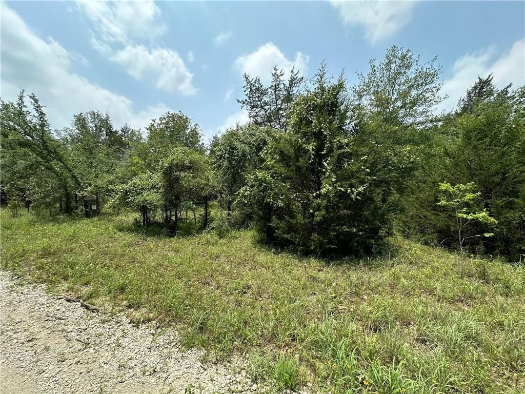 17.6 acres in Limestone County featured view