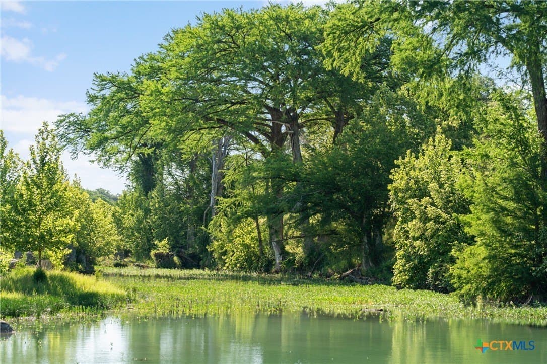471 acres in Hays County - photo 33