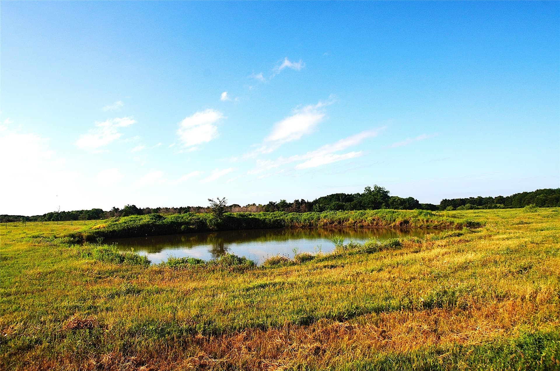 35.51 acres in Grayson County - photo 2