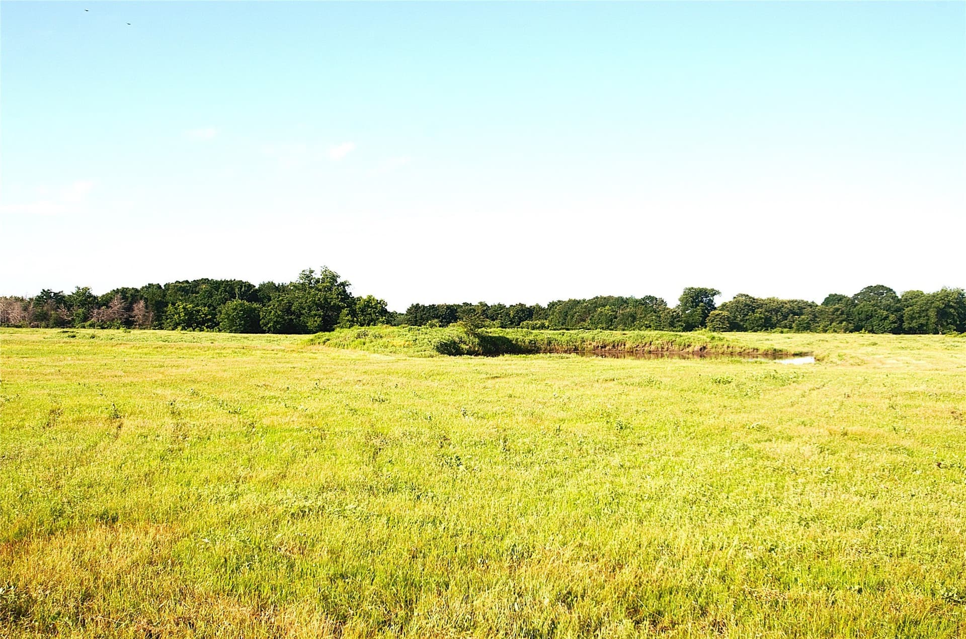 35.51 acres in Grayson County - photo 11