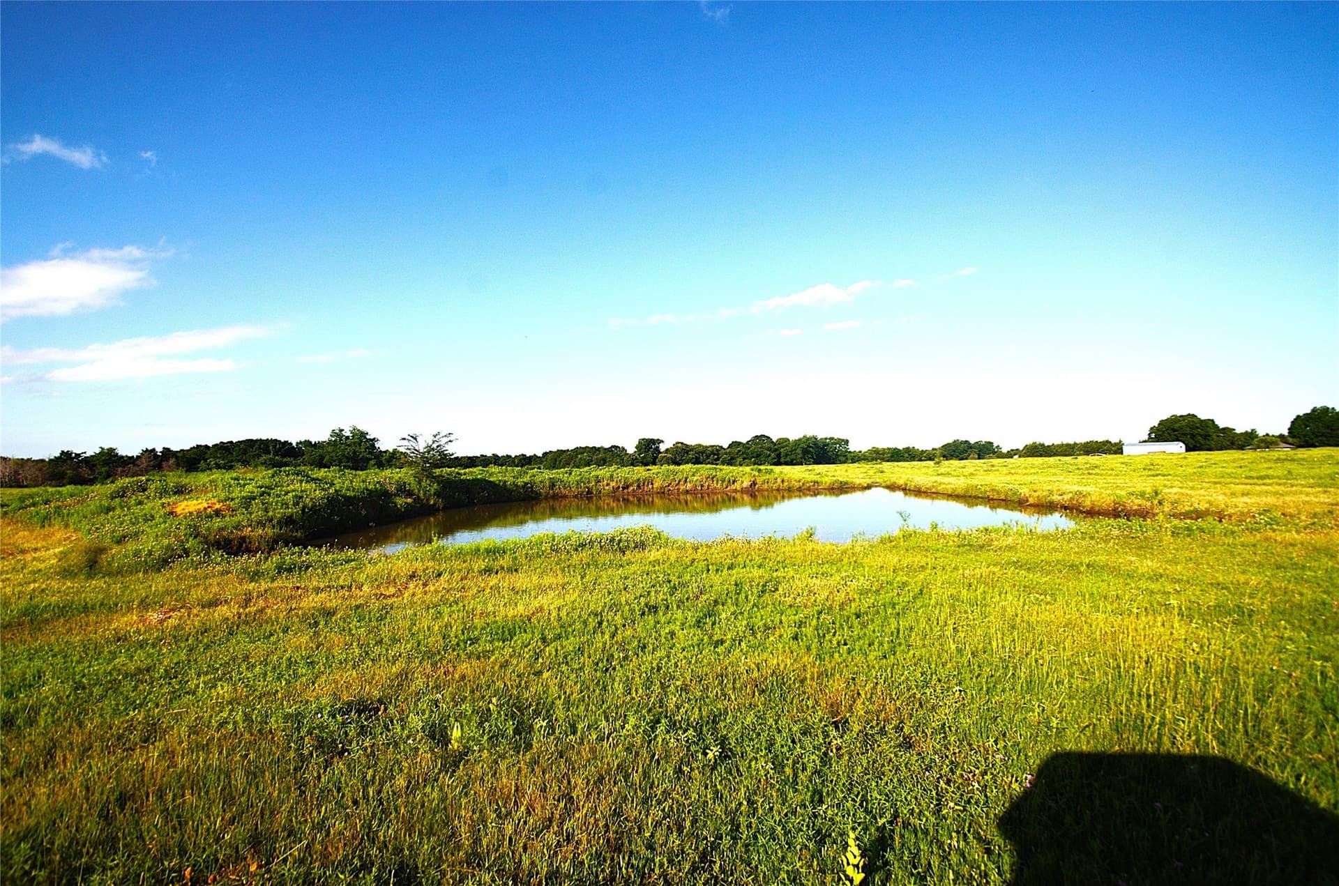 35.51 acres in Grayson County - photo 9