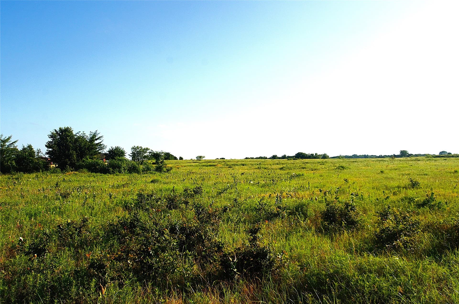 35.51 acres in Grayson County - photo 7