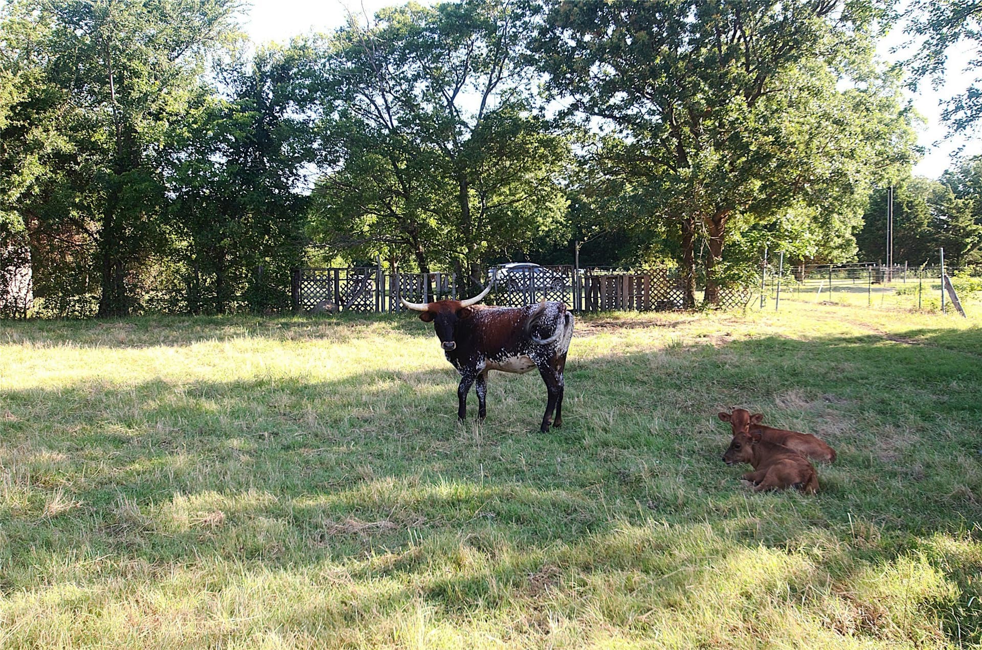 35.51 acres in Grayson County - photo 18