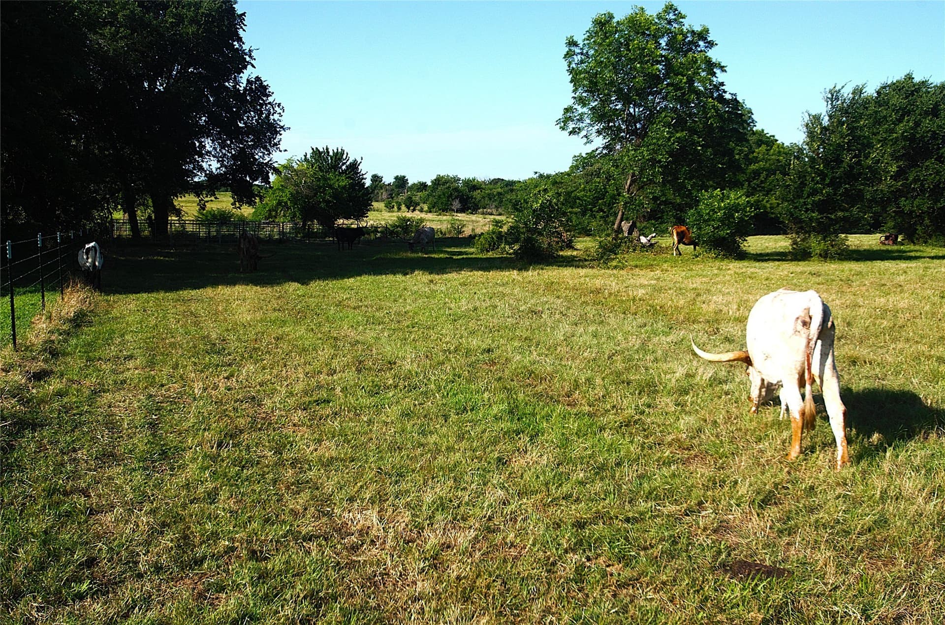 35.51 acres in Grayson County - photo 17