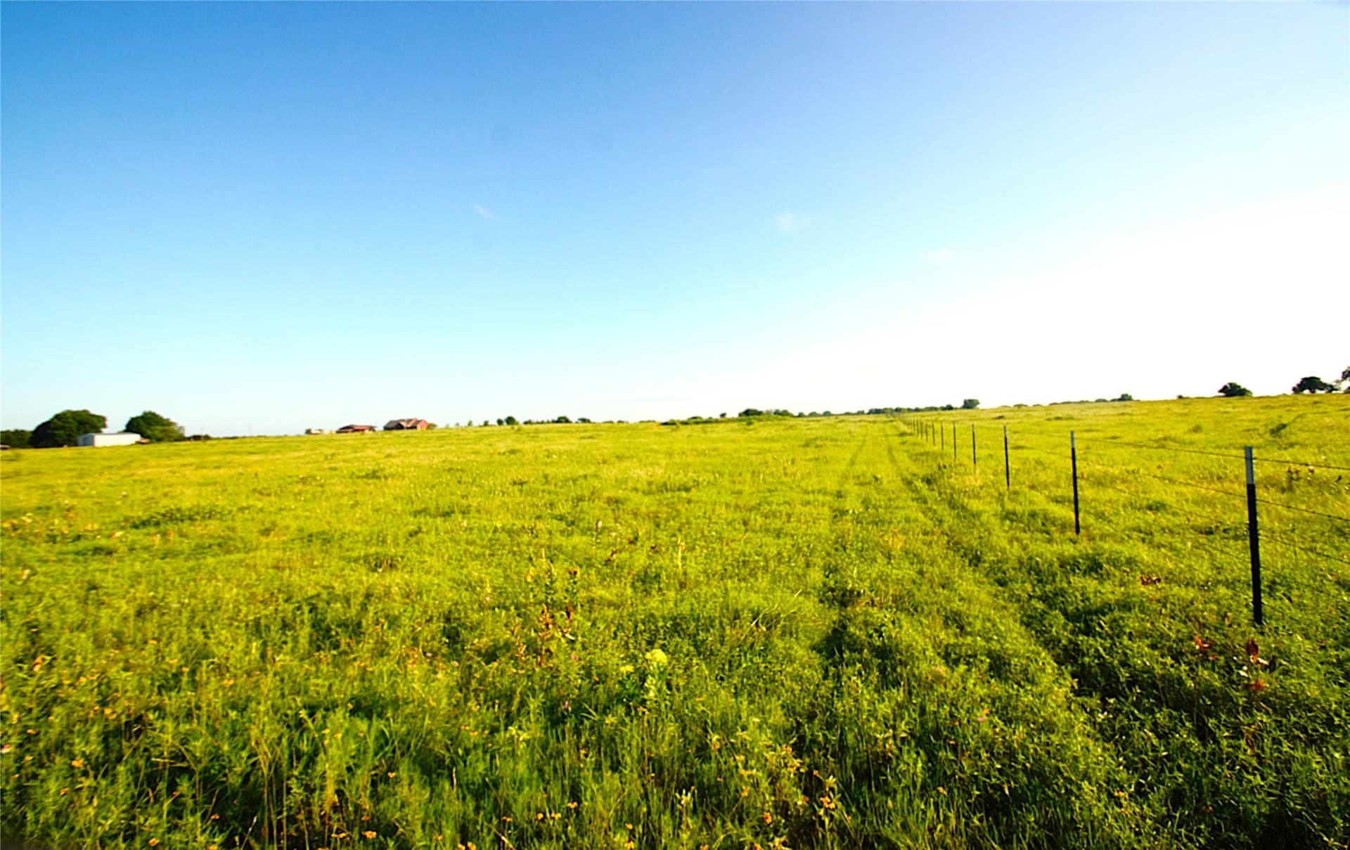 35.51 acres in Grayson County - photo 5