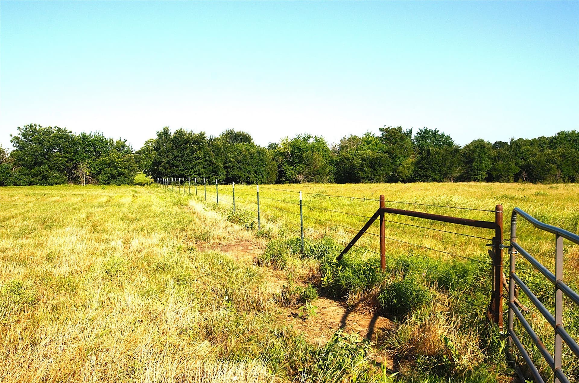 35.51 acres in Grayson County - photo 13