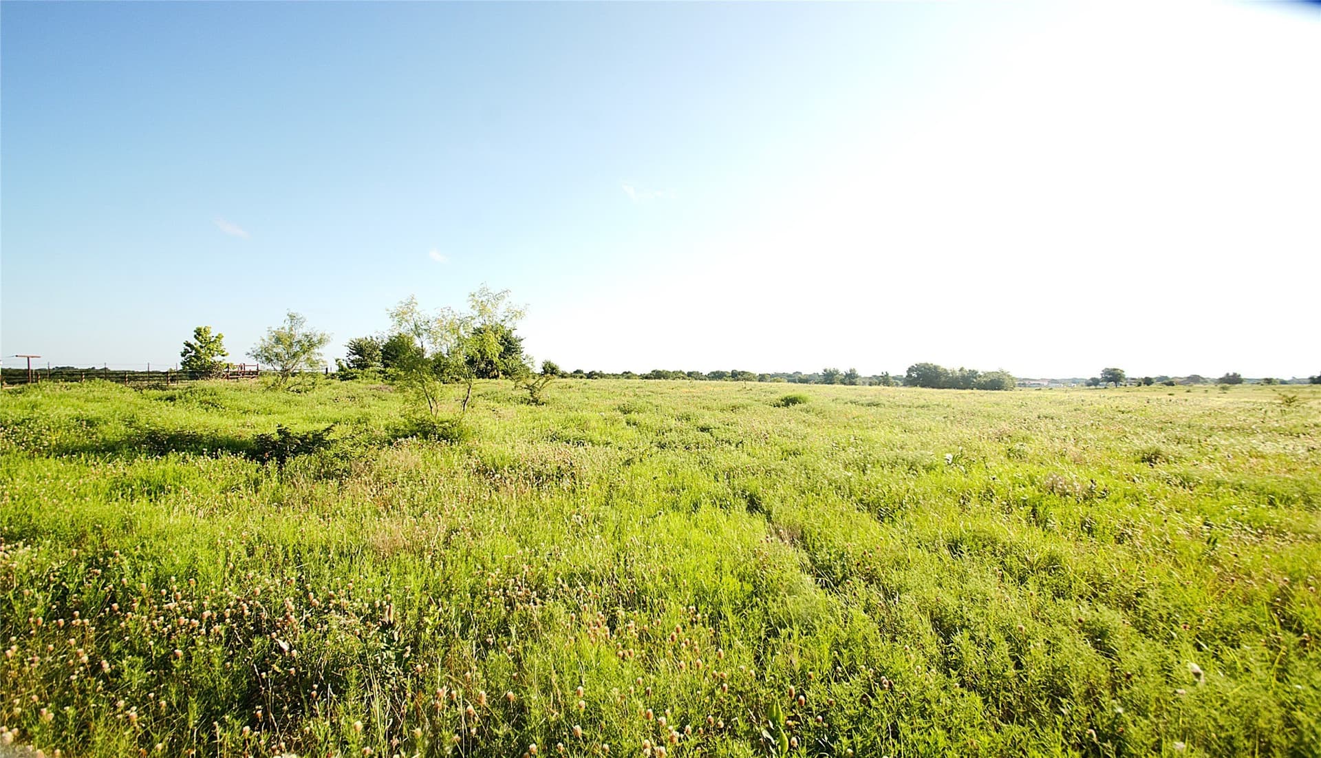 35.51 acres in Grayson County - photo 10
