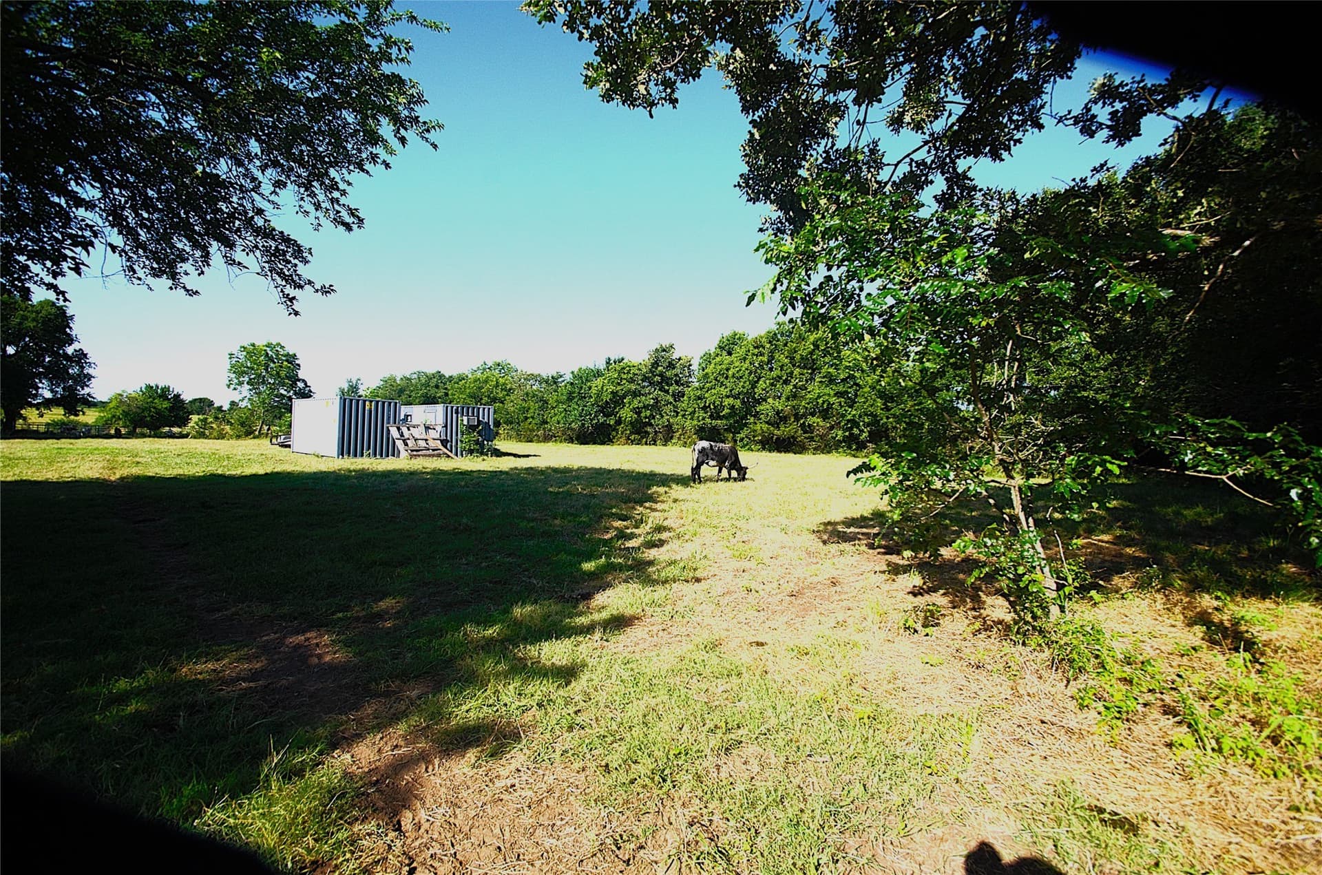 35.51 acres in Grayson County - photo 20